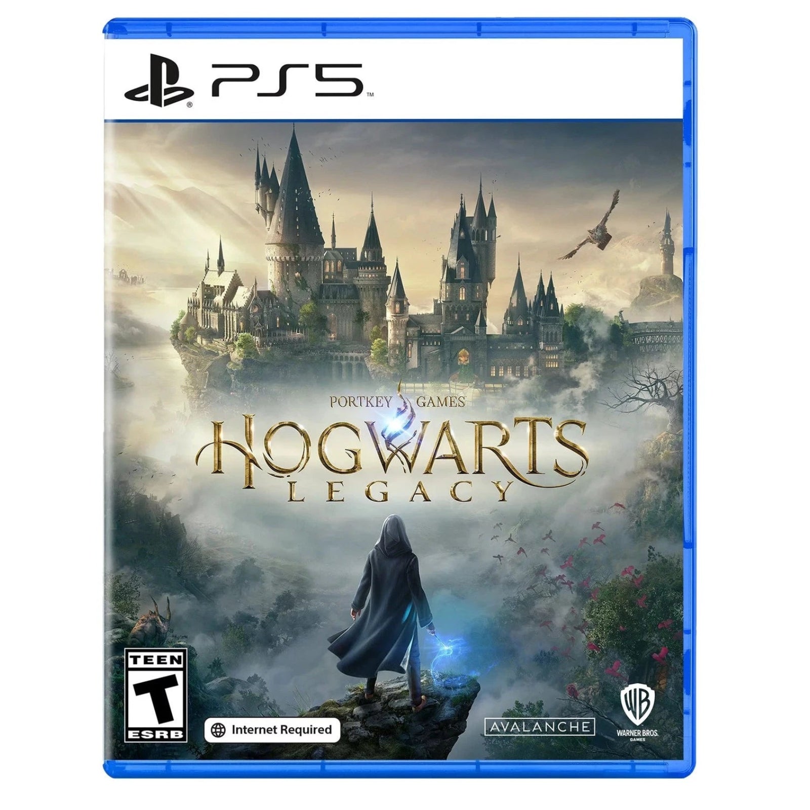 HogWarts Legcy - PS4 & PS5